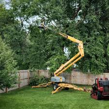 Leaf Removal in Flower Hill, NY